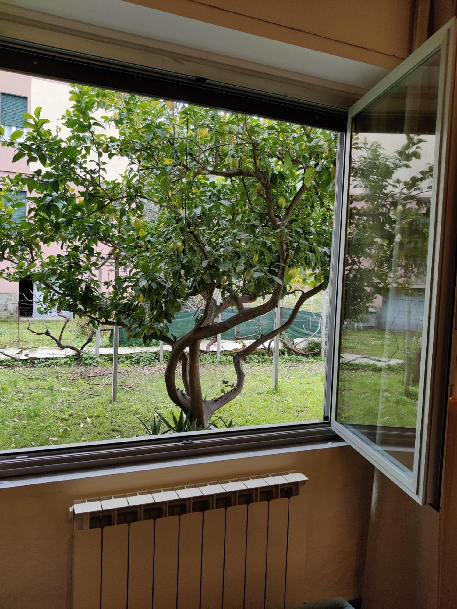 Centrale Nel Verde Int 1 Σέστρι Λεβάντε Εξωτερικό φωτογραφία